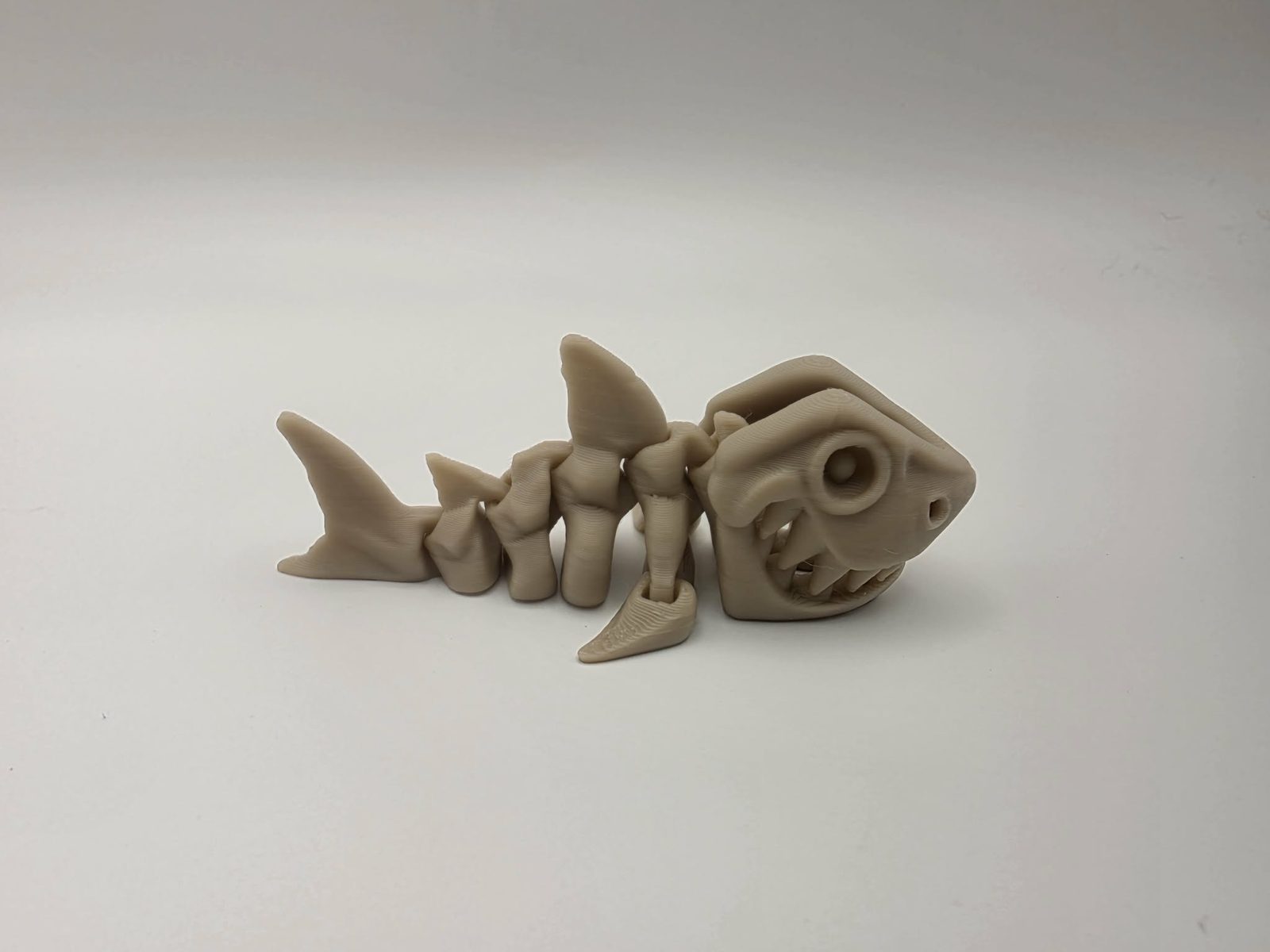 Skeleton Shark - Bone Bite Shark - 3.5" Long x 1.5" Wide x 1.25" Tall - Bone White 3D printed item image
